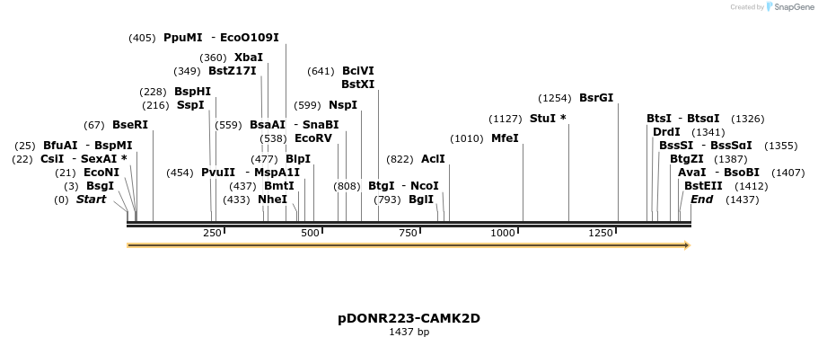 11095_map