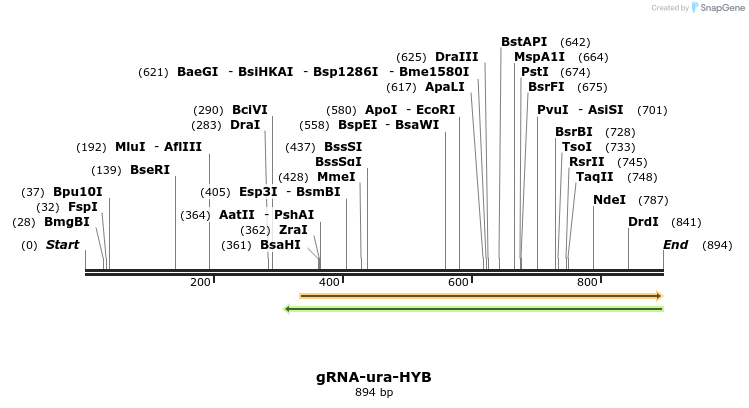 110952_map