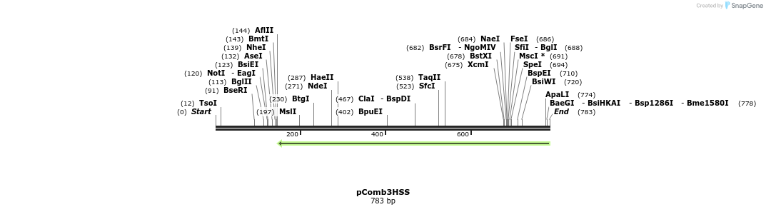 110953_map