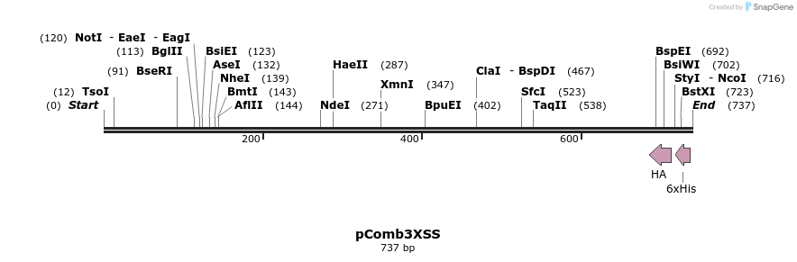 110963_map