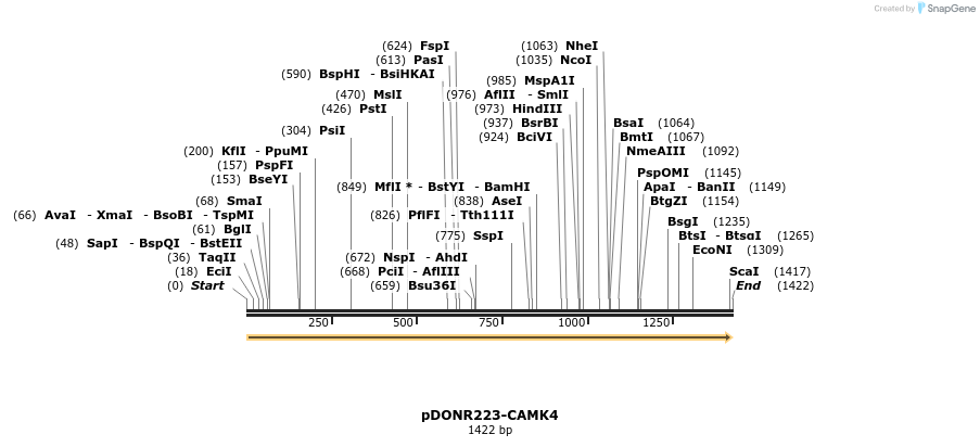11097_map