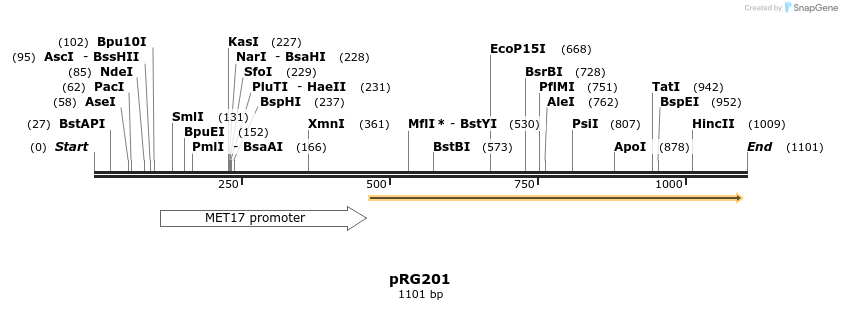 110977_map