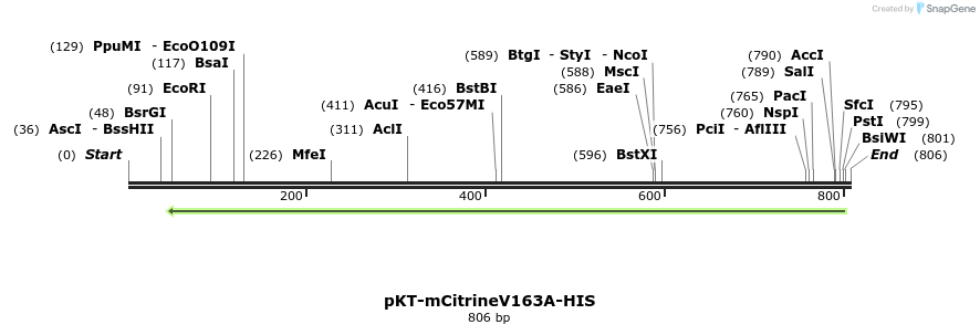 110981_map