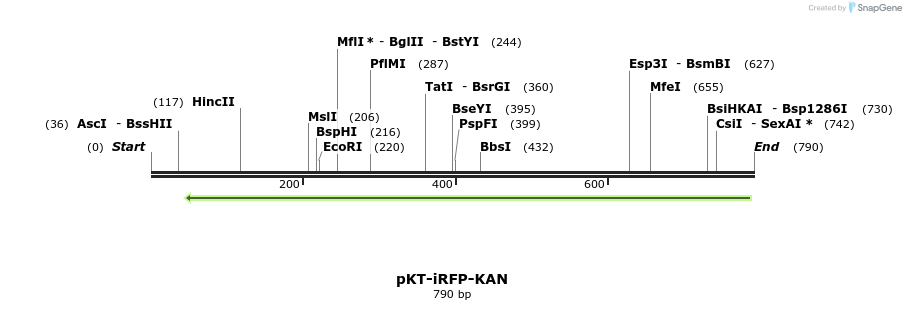 110982_map