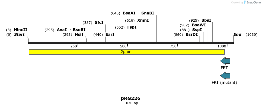 110983_map