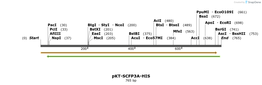 110986_map