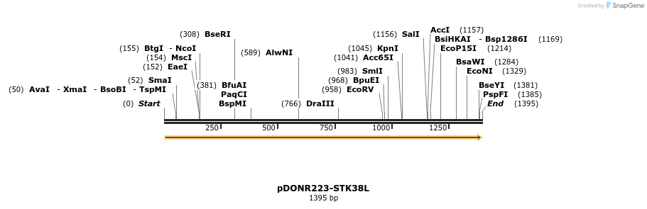 11099_map