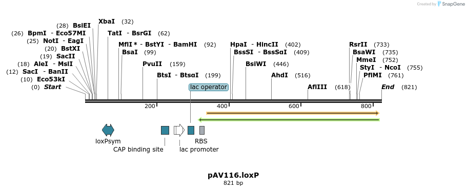 110994_map
