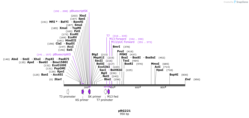 110997_map