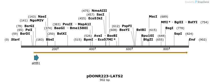 11101_map