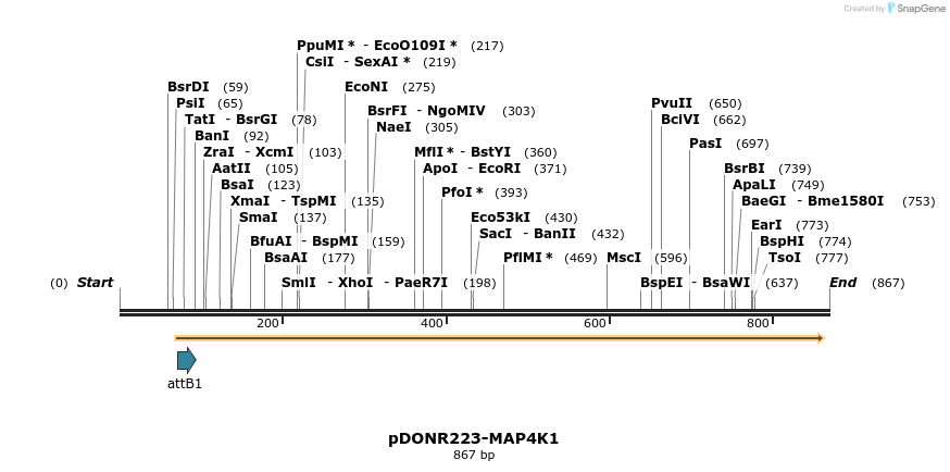 11102_map