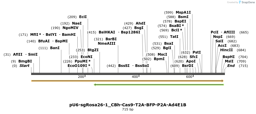 111029_map
