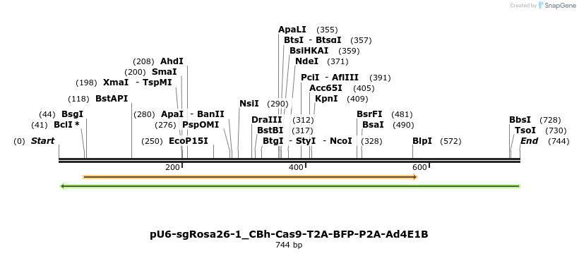 111030_map