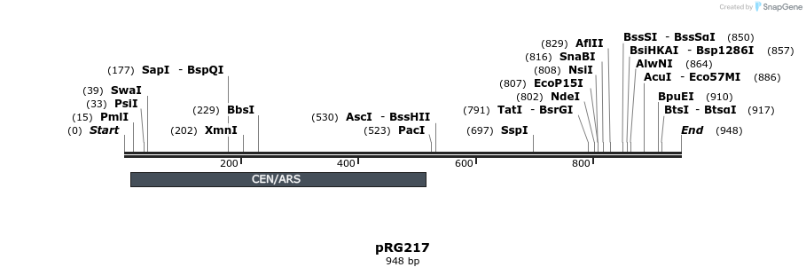 111039_map