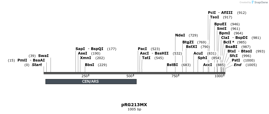 111043_map