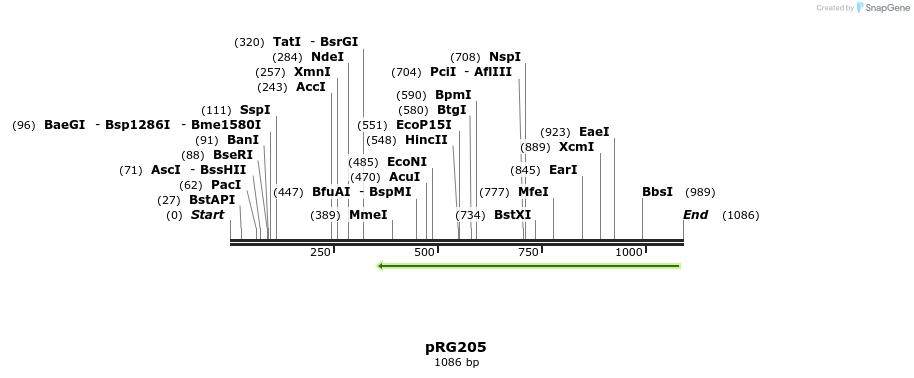 111047_map