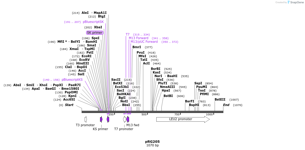 111048_map