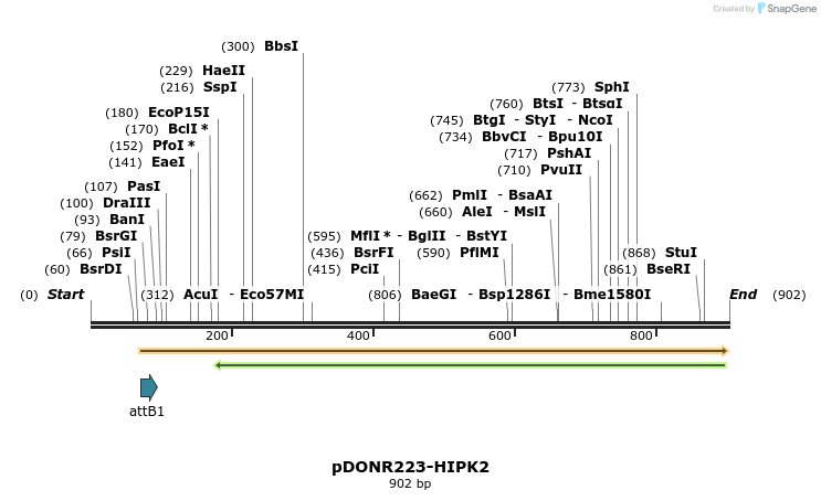 11105_map