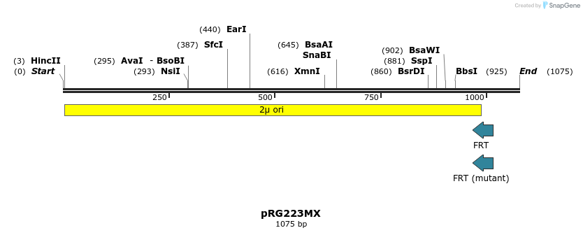 111050_map