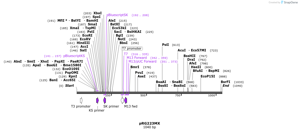 111051_map