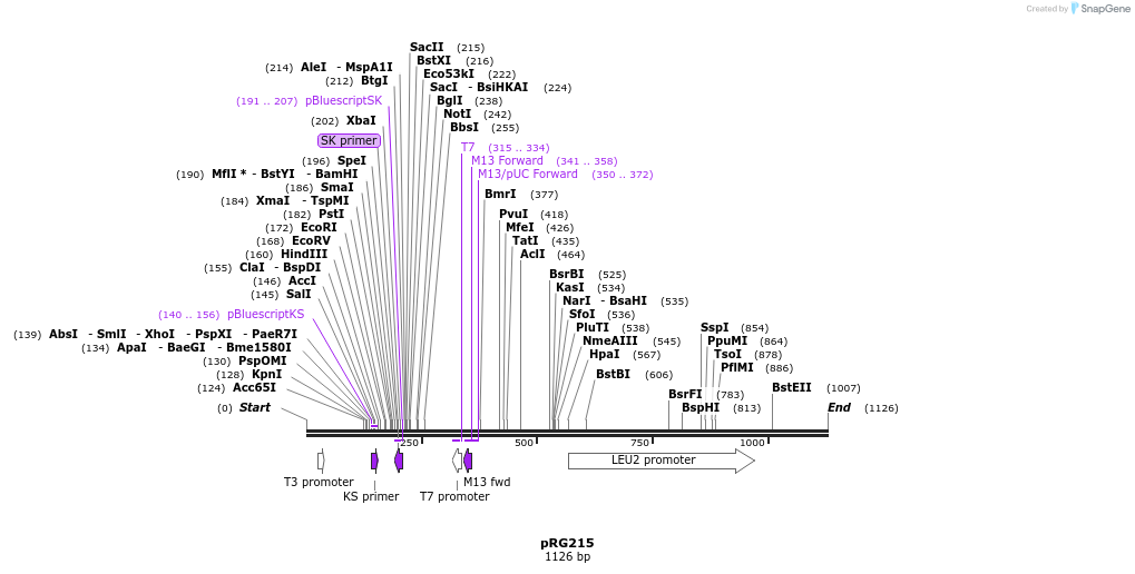 111054_map