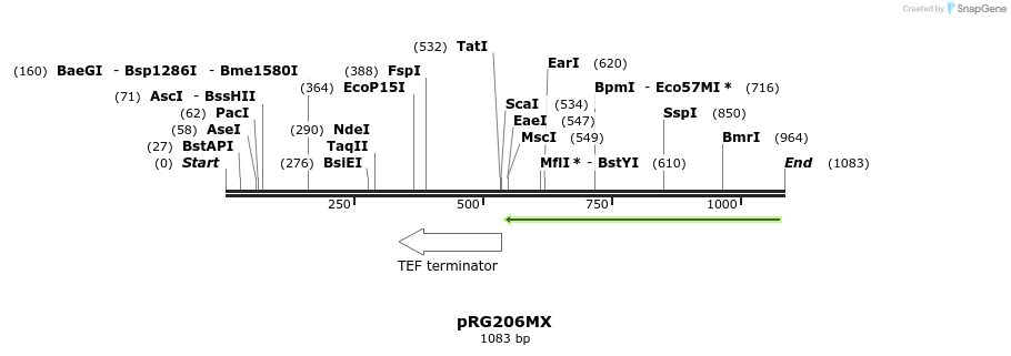 111055_map