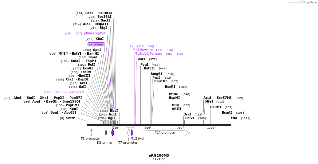 111056_map