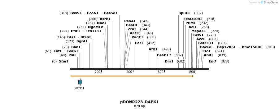 11106_map