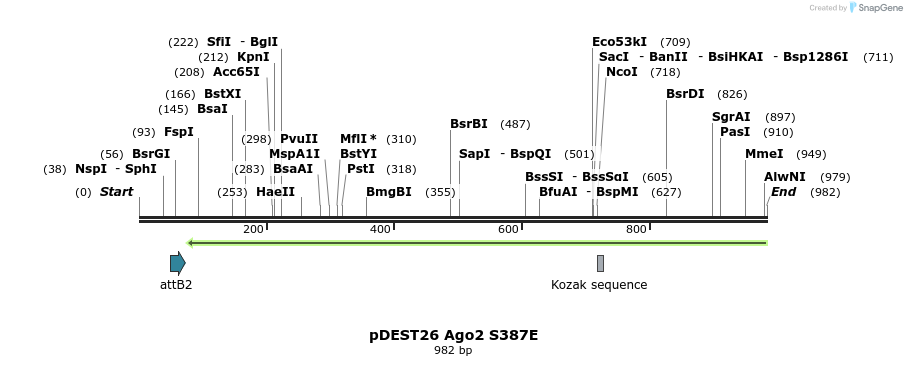 111065_map