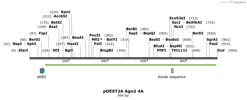 111068_map