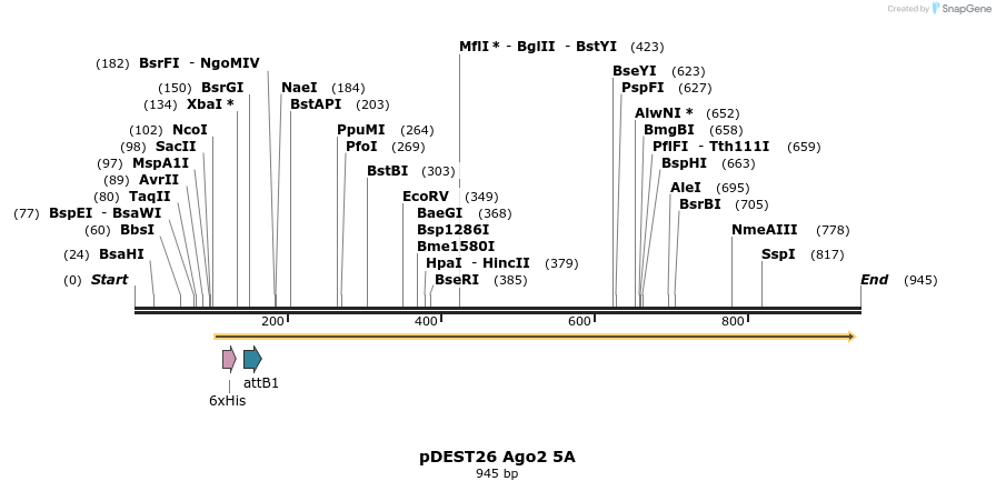 111071_map