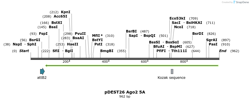 111073_map