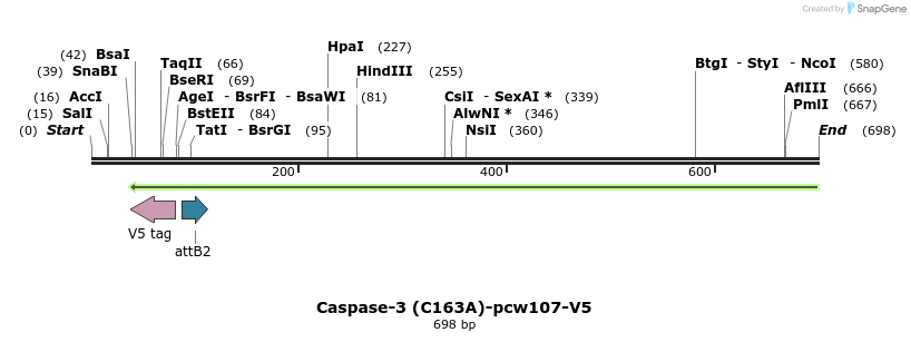111074_map