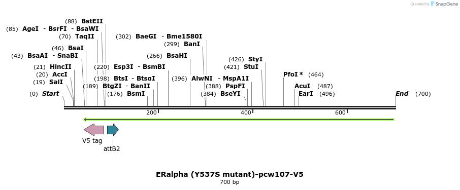 111075_map