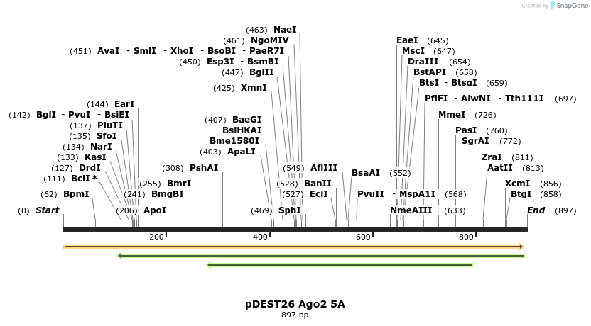 111078_map
