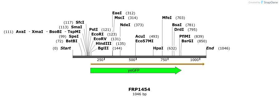 111080_map