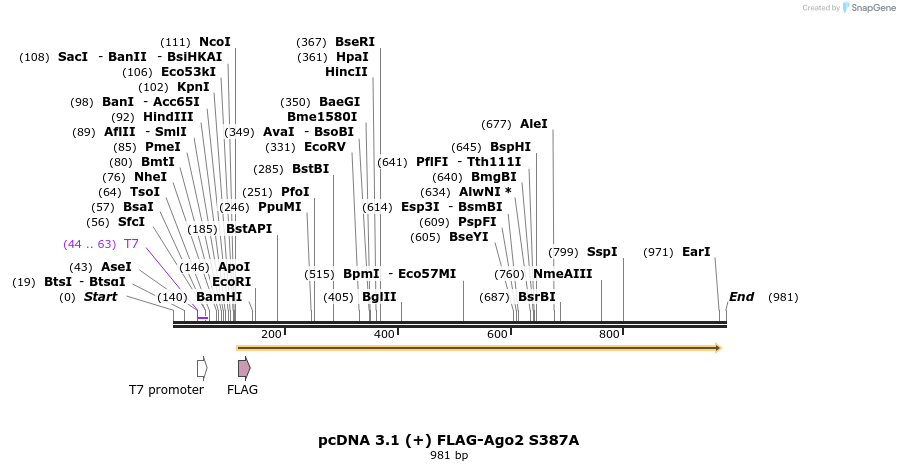111081_map