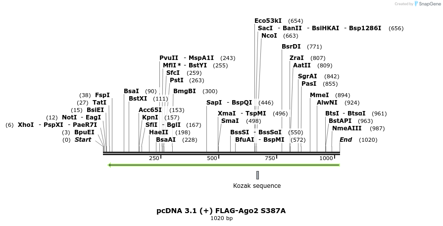 111082_map