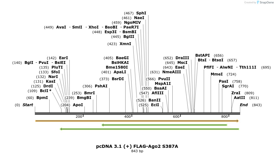 111084_map