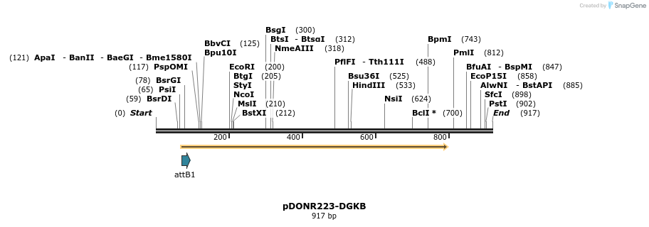 11109_map