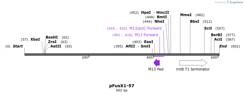 111096_map