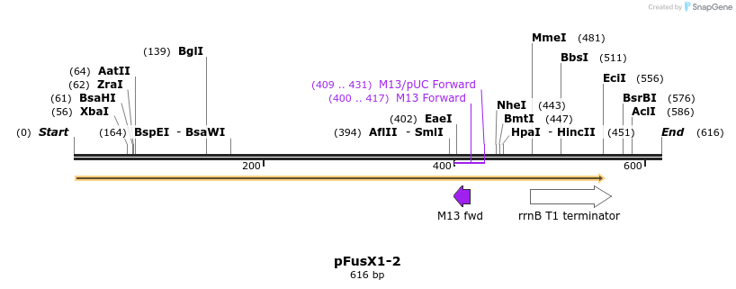 111101_map