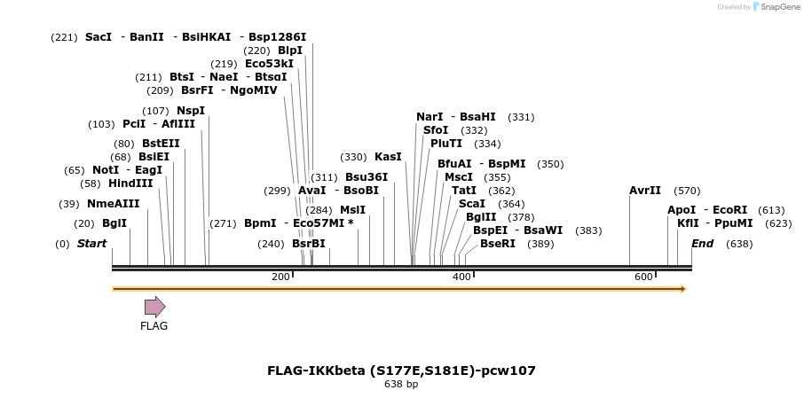 111103_map