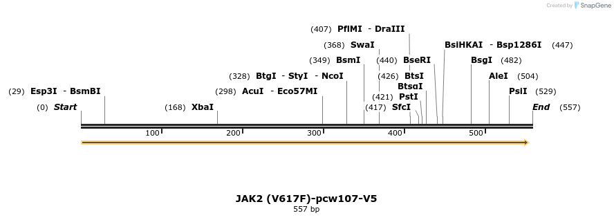 111104_map