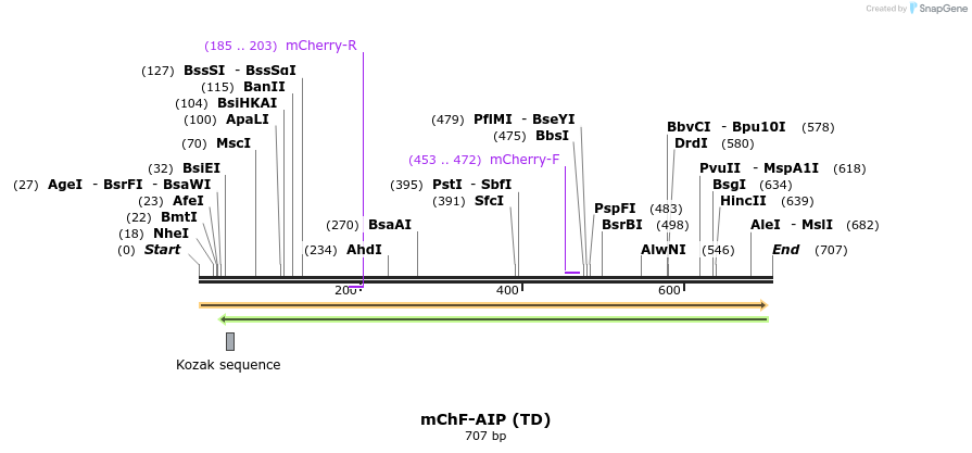 111105_map