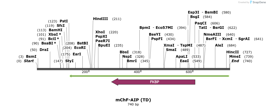 111106_map