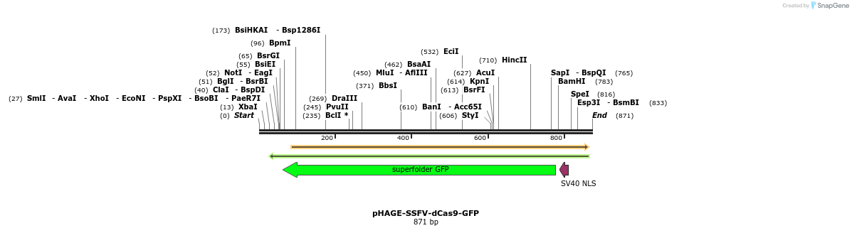 111108_map