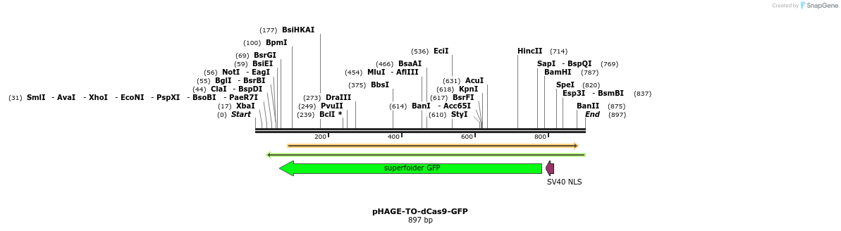 111109_map