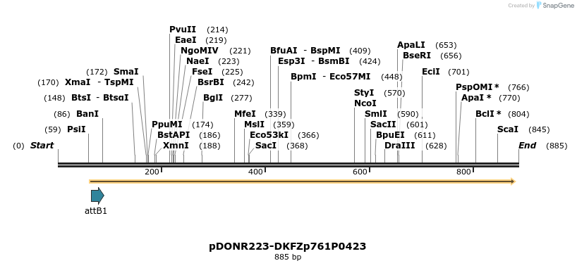 11111_map