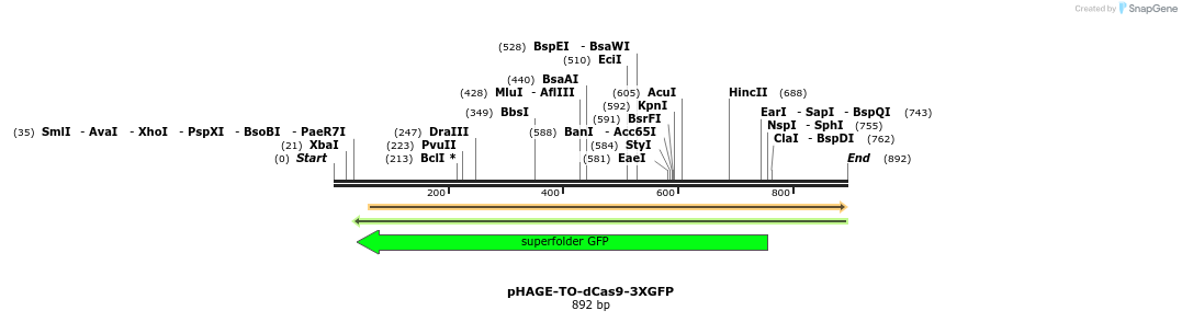 111112_map